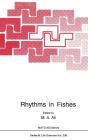 Rhythms In Fishes - Preview