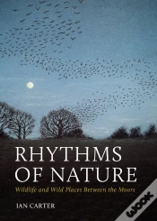 Capa do artigo Rhythms Of Nature