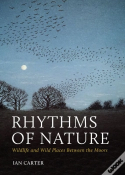 Capa do artigo Rhythms Of Nature