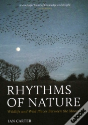Capa do artigo Rhythms Of Nature