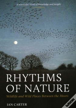 Capa do artigo Rhythms Of Nature
