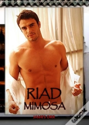 Capa do artigo Riad Mimosa