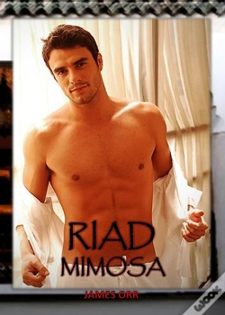 Capa do artigo Riad Mimosa