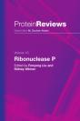 Ribonuclease P - Preview