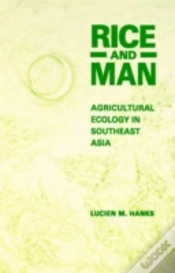 Capa do artigo Rice And Man