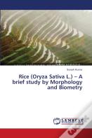 Rice (Oryza Sativa L.) - A Brief Study By Morphology And Biometry