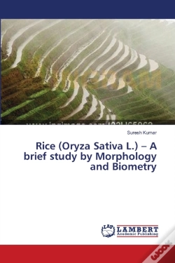 Capa do artigo Rice (Oryza Sativa L.) - A Brief Study By Morphology And Biometry