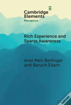 Capa do artigo Rich Experience And Sparse Awareness