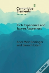 Rich Experience And Sparse Awareness