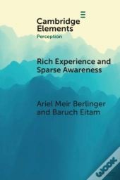 Rich Experience And Sparse Awareness