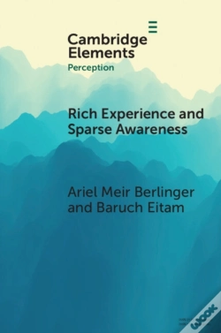 Capa do artigo Rich Experience And Sparse Awareness