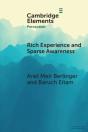 Rich Experience And Sparse Awareness - Preview