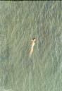 Richard Misrach Mysterious Opacity - Preview