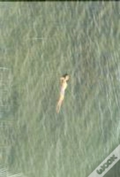 Capa do artigo Richard Misrach Mysterious Opacity
