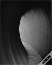 Capa do artigo Richard Serra 2014 /Anglais
