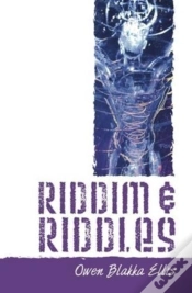 Capa do artigo Riddim & Riddles