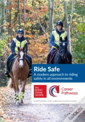 Capa do artigo Ride Safe