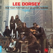 Capa do artigo Ride Your Pony - Vinil