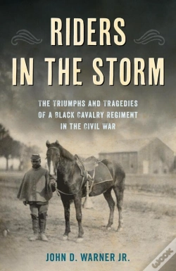 Capa do artigo Riders In The Storm