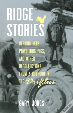 Capa do artigo Ridge Stories