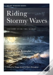 Capa do artigo Riding Stormy Waves
