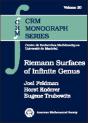 Riemann Surfaces Of Infinite Genus - Preview