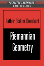 Riemannian Geometry - Preview