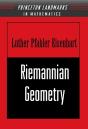 Riemannian Geometry - Preview
