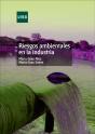 Riesgos Ambientales En La Industria - Preview