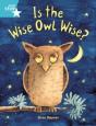 Rigby Star Guided 2, Turquoise Level: Is The Wise Owl Wise? Pupil Book (Single) - Preview