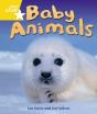 Rigby Star Guided Quest Year 1 Yellow Level: Baby Animals Reader Single - Preview