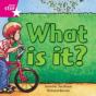 Rigby Star Independent Pink Reader 7: What Is It? - Preview