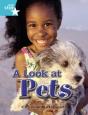 Rigby Star Independent Year 2 Turquoise Non Fiction A Look At Pets Single - Preview