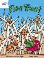Rigby Star Independent Year 2 White Fiction Flea Treat Single - Preview