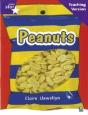 Rigby Star Non-Fiction Guided Reading Purple Level: Peanuts Teaching Version - Preview