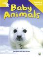 Rigby Star Non-Fiction Guided Reading Yellow Level: Baby Animals Teaching Version - Preview