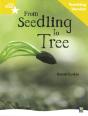 Rigby Star Non-Fiction Guided Reading Yellow Level: From Seedling To Tree Teaching Version - Preview