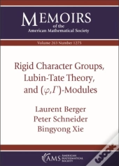 Rigid Character Groups, Lubin-Tate Theory, And $(\Varphi ,\Gamma )$-Modules