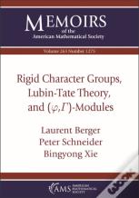Rigid Character Groups, Lubin-Tate Theory, And $(\Varphi ,\Gamma )$-Modules