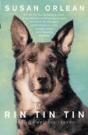 Rin Tin Tin - Preview