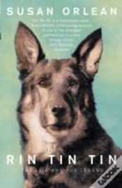 Capa do artigo Rin Tin Tin