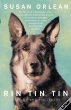 Capa do artigo Rin Tin Tin