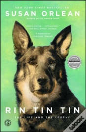 Capa do artigo Rin Tin Tin