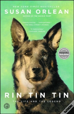 Capa do artigo Rin Tin Tin
