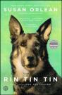 Rin Tin Tin - Preview
