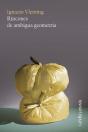 Rincones De Ambigua Geometria - Preview