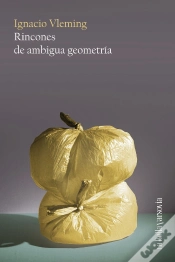 Capa do artigo Rincones De Ambigua Geometria