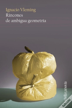 Capa do artigo Rincones De Ambigua Geometria