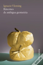 Capa do artigo Rincones De Ambigua Geometría