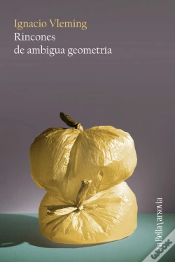 Capa do artigo Rincones De Ambigua Geometría